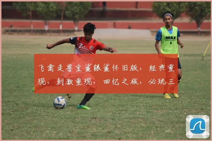 飞禽走兽金鲨银鲨怀旧版，经典重现，刺激重现，回忆之旅，必玩三连击，体验非凡