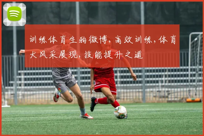 训练体育生狗微博,高效训练,体育犬风采展现,技能提升之道