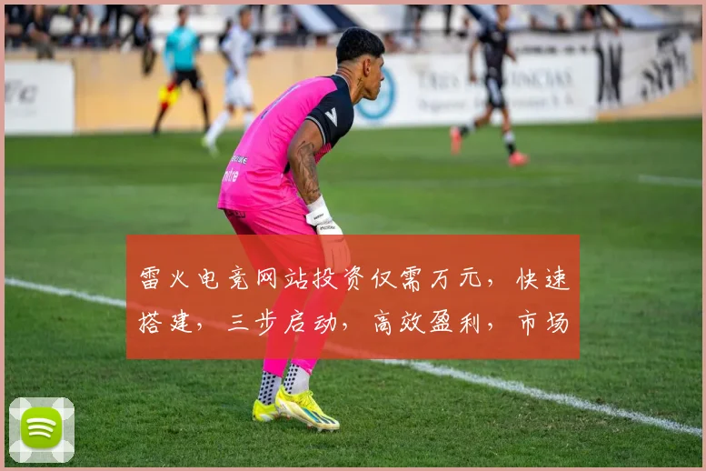 雷火电竞网站投资仅需万元，快速搭建，三步启动，高效盈利，市场独占